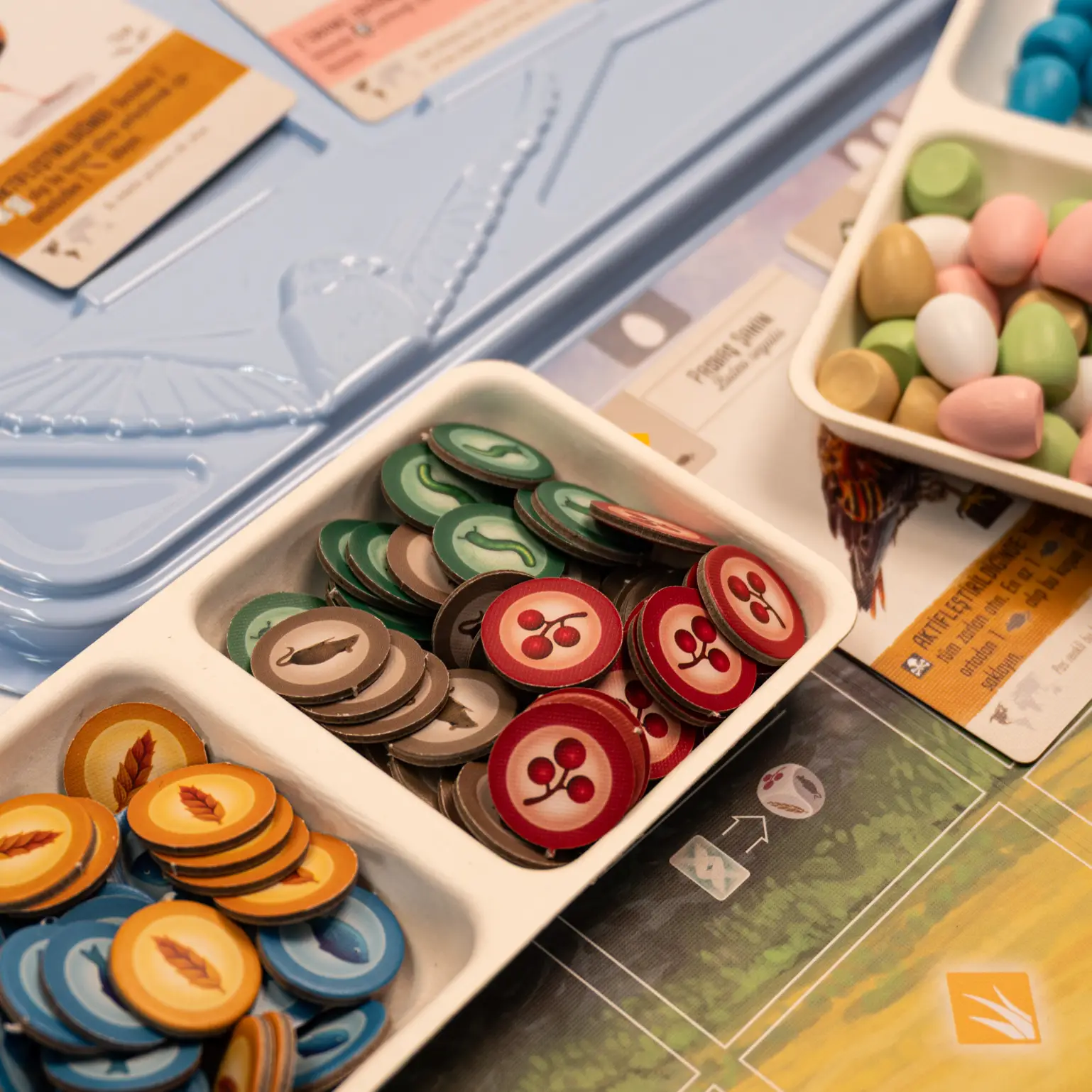 wingspan-neotroy-türkçe